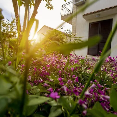Ava Apartmani Zablace