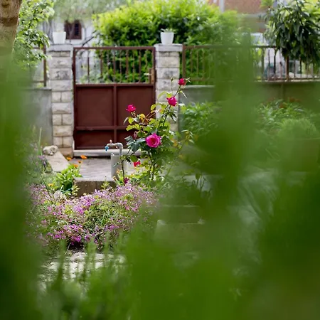 Διαμέρισμα Ava